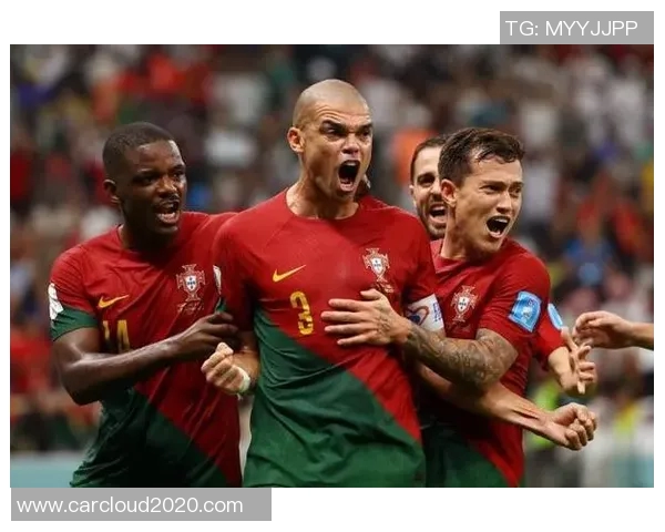 德国对战葡萄牙佩佩表现分析与比赛精彩瞬间回顾