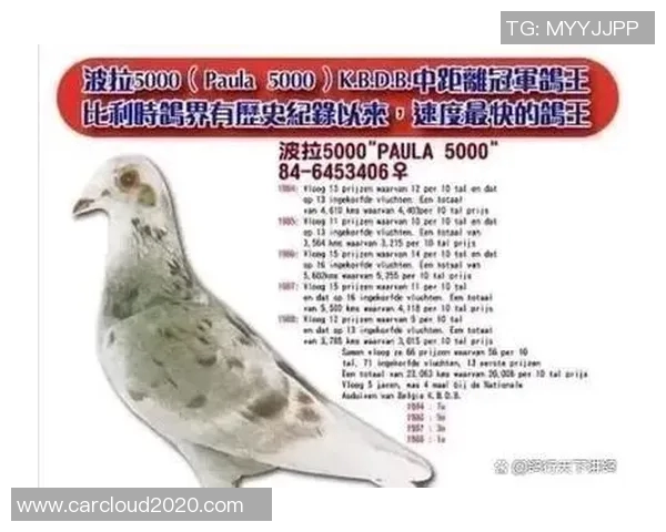 哈巴斯的传奇旅程与影响力探讨：从创始人到全球品牌的崛起与发展