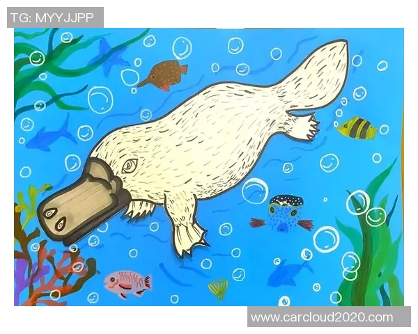 探索鸭嘴兽水袋的奇妙功能与生态适应性揭秘